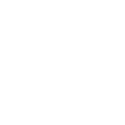 Icon Alltagsbegleitung